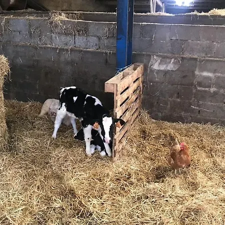 1833 Ardennes Farm Between And Houffalize Willa *