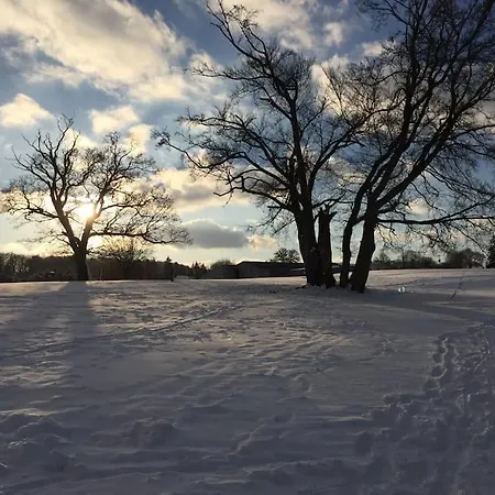 1833 Ardennes Farm Between And Houffalize ヴィラ バストーニュ