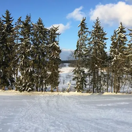 Willa 1833 Ardennes Farm Between And Houffalize Bastogne