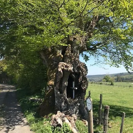 Willa 1833 Ardennes Farm Between And Houffalize