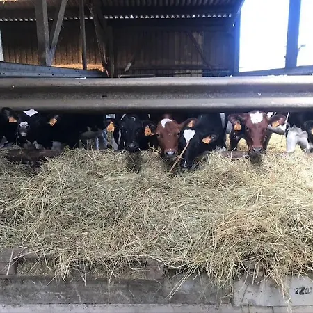 1833 Ardennes Farm Between And Houffalize