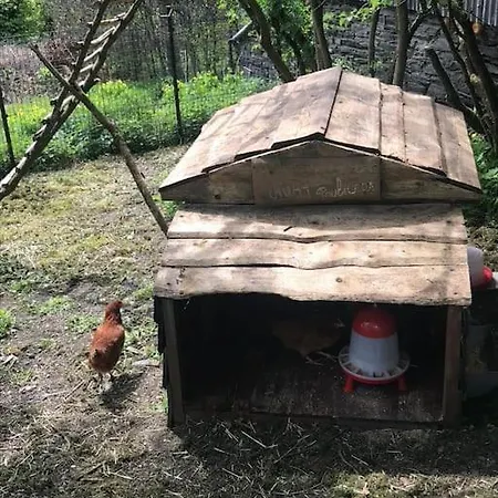 1833 Ardennes Farm Between And Houffalize