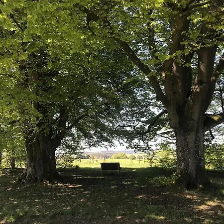 빌라 1833 Ardennes Farm Between And Houffalize 바스토뉴