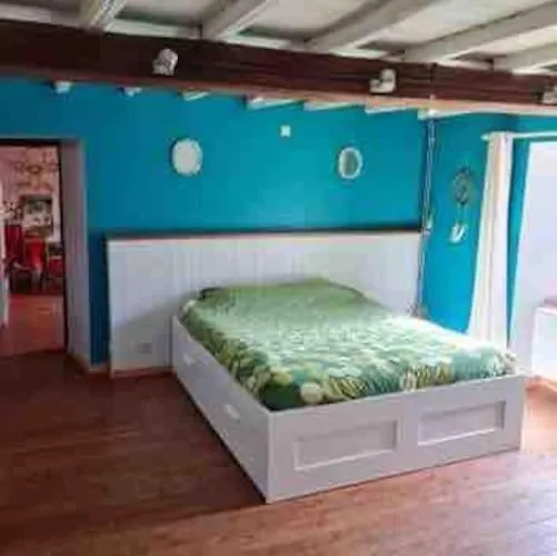 别墅 1833 Ardennes Farm Between And Houffalize 巴斯托涅