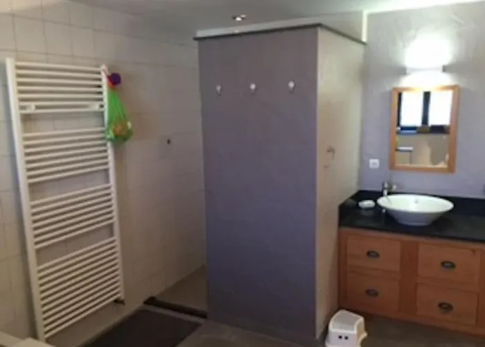 1833 Ardennes Farm Between And Houffalize 别墅 巴斯托涅