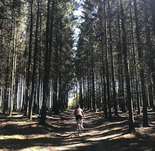 1833 Ardennes Farm Between And Houffalize 别墅