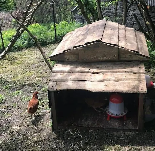 1833 Ardennes Farm Between And Houffalize